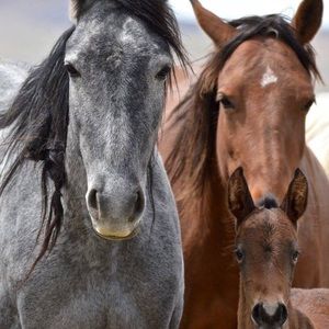 Meet your Posher, Kathleen